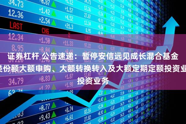 证券杠杆 公告速递：暂停安信远见成长混合基金C类份额大额申购、大额转换转入及大额定期定额投资业务